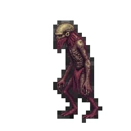 Wandering Rotting Ghoul